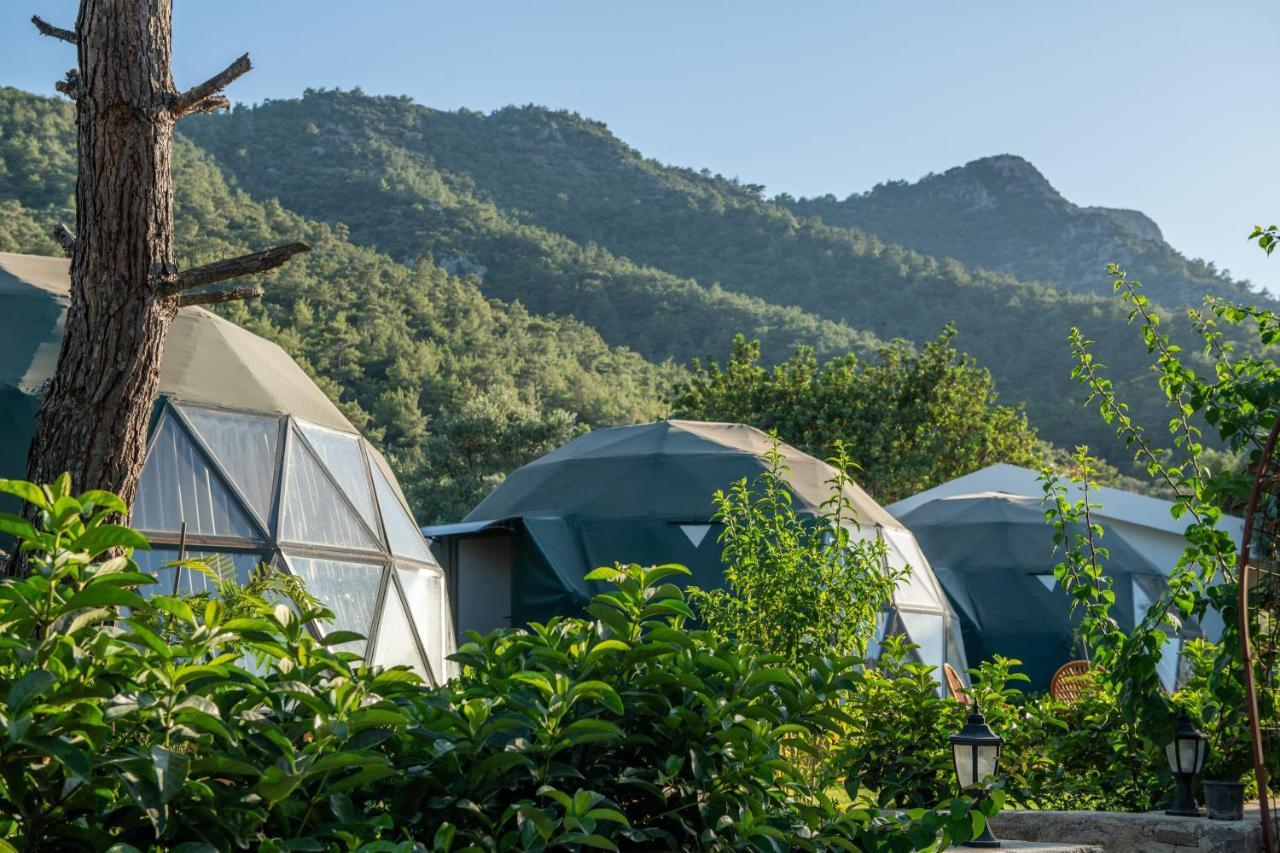 Lusso Glamping Bodrum Hotell Eksteriør bilde